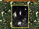 The Leaves Hey Joe Mira 3005 MONO 1966 Garage Psych STRONG VG