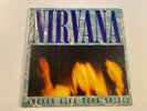 Nirvana - Smells Like Teen Spirit 10
