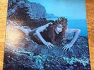 ROXY MUSIC   Siren   1975 UK ISLAND 1st PRESS w/BLACK ISLAND INNER LP NEAR MINT