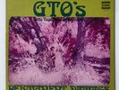 GTO’s Permanent Damage LP 1st Press Psych Acid Zappa STRAIGHT WHITE LABEL PROMO