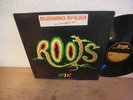 Burning Spear – Institution  