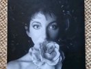 Kate Bush Remastered in Vinyl 2  Hounds Of Love Red Shoes Sensual World Box Set