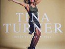Tina Turner-Queen of Rock 'N' Roll (Greatest Hits)-Vinyl LP-Brand New/Still s...