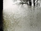 Bon Iver - For Emma Forever Ago [New Vinyl LP]