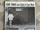 Vashti Bunyan Some Things Just Stick In You Mind: Double Vinyl Album With Insert