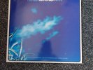 Paul Weller Brand New Start 12 Promo Vinyl White Label