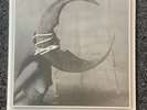 Ghost Bath - Moonlover - Gold Vinyl Mint Condition Black Metal Rare