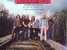 Lynyrd Skynyrd - Saturday Night Special - Used Vinyl Record 7 - S6035A