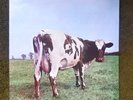 PINK FLOYD/ATOM HEART MOTHER 12