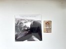 Taylor Swift Cardigan + Songwriting Voice Memo 7 Inch Gold Vinyl LP NEW SEALED