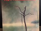 New Model Army - 'Demos for Thunder And Consolation' rare white label vinyl LP