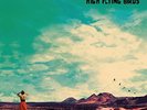 Noel Gallagher's High Flying Birds Who Built The Moon? (Vinyl)
