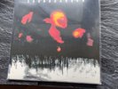 Soundgarden - Superunknown, 2LP 1994, US, Blue Transparent  7 31454 0198 11