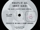 Super Rare ALICE COOPER What’s It All About Alice THE ALICE COOPER RADIO SPECIAL