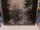 TONY RICE LP BACKWATERS-1982-ROUNDER 0167-MINT- BLUEGRASS