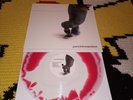Punchline Action Colored Vinyl Record Poppunk Emo