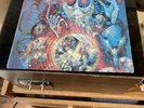 Brain Damage LP by Screaming Abdabs ( Pink Floyd) on Sigma 6 D&M 1972