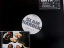 ONYX SLAM HARDER 12