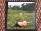 Kacey Musgraves DEEPER WELL Cream Clear Vinyl ALTERNATIVE NUDE SLEEVE LP New