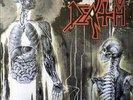 Death - Human (LP, Album, RE) (Very Good Plus (VG+)) - 2511515915