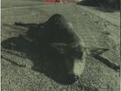 PEARL JAM WHO KILLED RUDOLPH 1992 Fan RARE Promo 45 RPM Sonic Reducer Ramblings