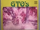 GTO’s Permanent Damage Zappa Mothers US Straight Promo LP with Booklet +
