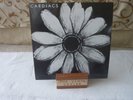 CARDIACS - A Little Man & His House - RARE UK 1st LP W/Insert (1988) - VG+/EX