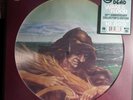 GRATEFUL DEAD Wake Of The Flood *NEW 50th Anniversary Remastered Picture Disc LP