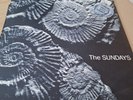 THE SUNDAYS..READING, WRITING AND ARITHMETIC.. *Rare Printed Picture Disc  **
