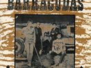 Barracudas - The Way We've Changed (7