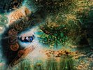 Pink Floyd A Saucerful Of Secrets (Vinyl)