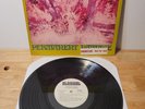 GTO's Permanent Damage Straight Records White Label Promo Acid Archives Zappa LP