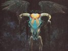 Eagles - One Of These Nights - 1LP - 180 gram - New/Sealed Vinyl