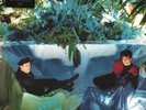 Associates Sulk (40th Anniversary Deluxe Edition) box set Europe BMG 2022