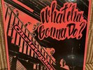 Christopher  What’cha Gonna Do LP  Lion Label. psych rock