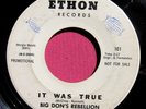 BIG DON'S REBELLION - It Was True - Northern Soul Promo 45 rpm - Ethon 101