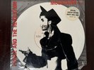 Vintage Prince and the Revolution Mountains 45 Vinyl Picture Sleeve White Disc