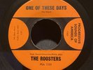 THE ROOSTERS CA. JANGLE GARAGE 45 - ONE OF THESE DAYS/YOU GOTTA RUN - HEAR