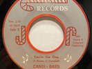 Funk Soul 45 CANDI-BARS You're The One / I Believe In You CANDY-STIX listen