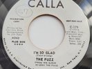 THE FUZZ - IM SO GLAD - CALLA W/D