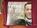 Letter To You by Bruce Springsteen 2-LP Vinyl, Album, 2020, Grey Limited Edition