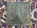 Happy Little Trees by Kenny Segal Vinyl ORIGINAL PRESSING