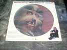 Warren Zevon  Werewolves of London 12