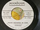 Garage Psych Promo 45 Oxpetals Prune Growing in June EX HEAR