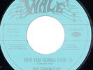 The Springers - Who You Gonna Turn To  (7