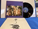 THE SLITS CUT ILPS 9573 INSERT. ORIGINAL UK LP NEAR MINT