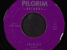 RAINBOWS: shirley / stay PILGRIM 7