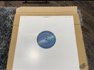 Coldplay Moon Music Blood Records vinyl Zoetrope Ltd Edition /5000