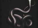 Soen - Imperial (Vinyl LP - 2021 - EU - Original)