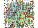 John Zorn The Dreamers - The Gentle Side (Vinyl)